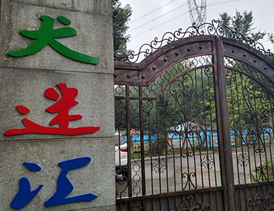 犬迷汇学校.jpg