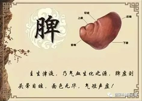 图片19.png