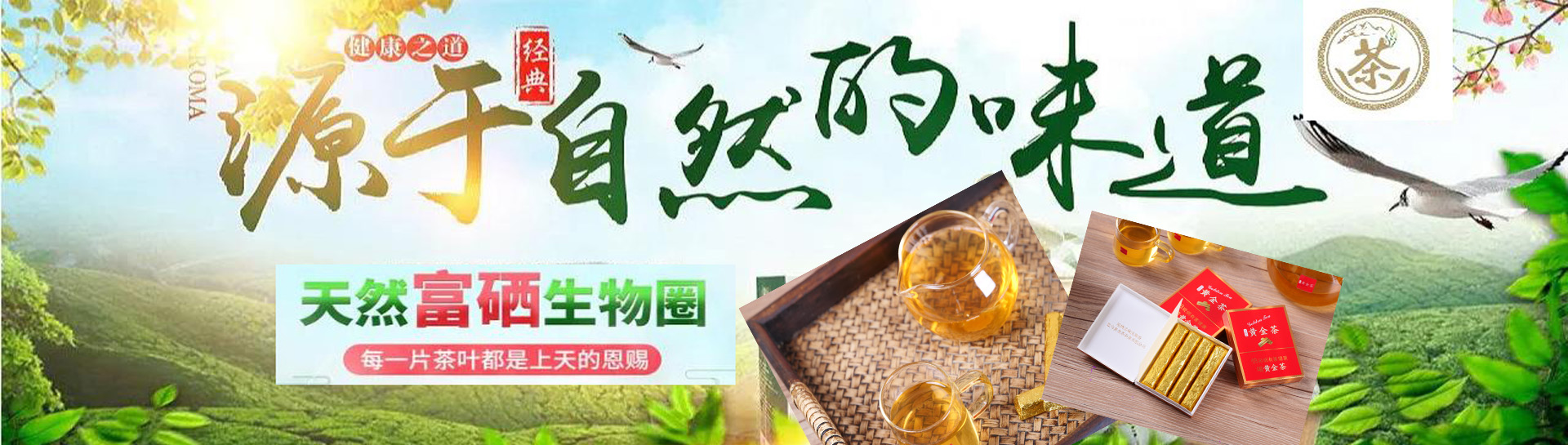 轮1.jpg